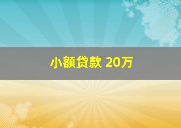 小额贷款 20万